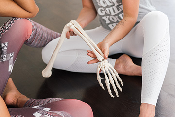 Embodied Yoga Anatomie